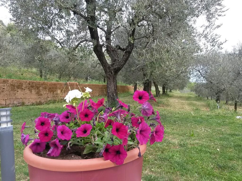 Agriturismo Camparella Pastrengo Dış mekan fotoğraf