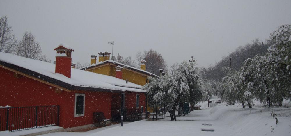 Agriturismo Camparella Pastrengo Dış mekan fotoğraf