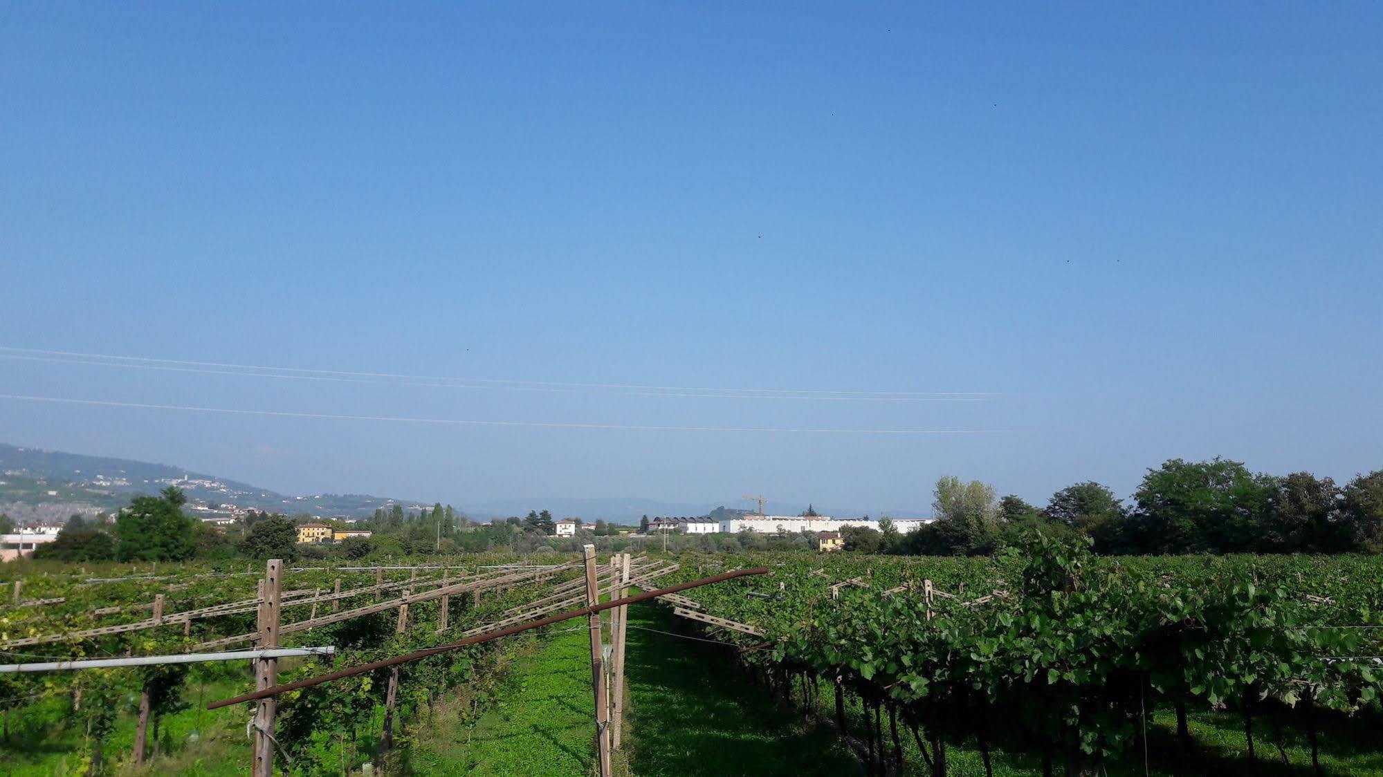 Agriturismo Camparella Pastrengo Dış mekan fotoğraf